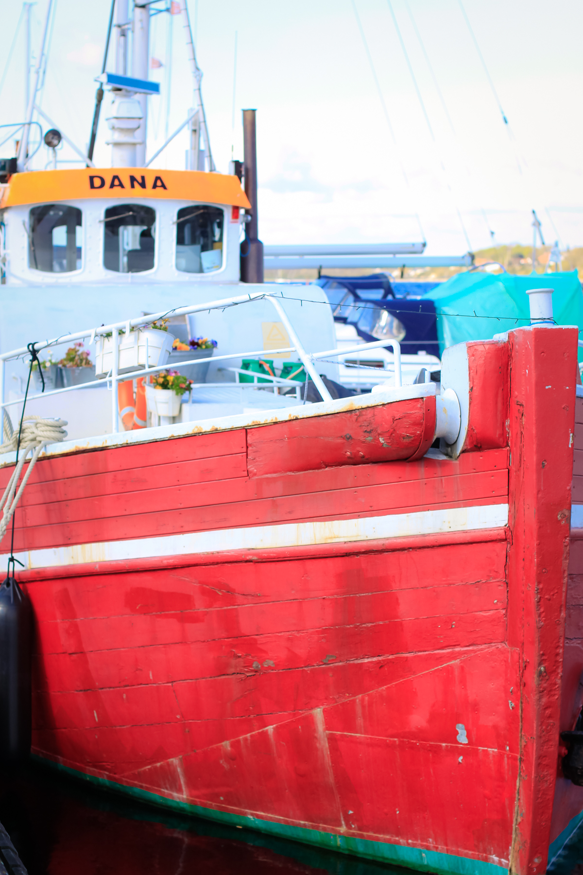 A visit to the Viking Ship Museum in Roskilde, Denmark is perfect for toddlers.